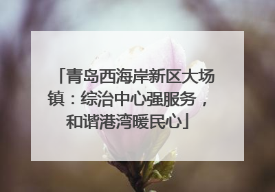 青岛西海岸新区大场镇：综治中心强服务，和谐港湾暖民心