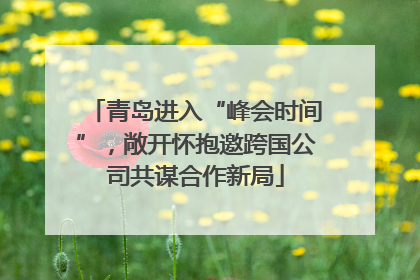 青岛进入“峰会时间”，敞开怀抱邀跨国公司共谋合作新局