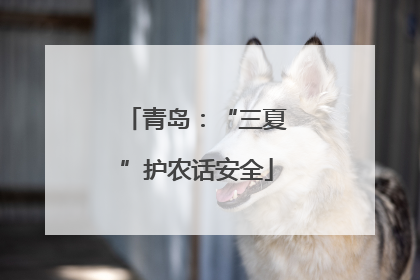 青岛：“三夏”护农话安全