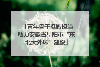 青年骨干挺膺担当 助力安徽省阜阳市“东北大外环”建设