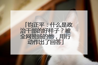 钧正平：什么是政治干部的好样子？被全网赞扬的他，用行动作出了回答