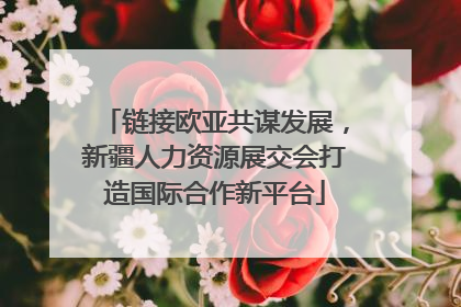 链接欧亚共谋发展，新疆人力资源展交会打造国际合作新平台