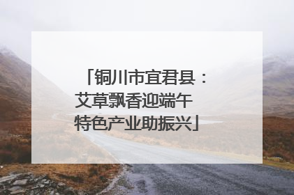 铜川市宜君县：艾草飘香迎端午 特色产业助振兴