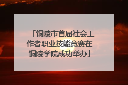 铜陵市首届社会工作者职业技能竞赛在铜陵学院成功举办