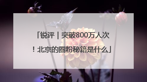 锐评｜突破800万人次！北京的圈粉秘籍是什么