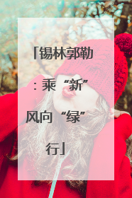 锡林郭勒：乘“新”风向“绿”行