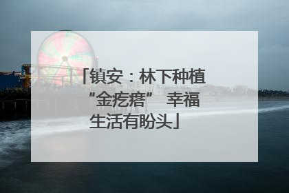 镇安：林下种植“金疙瘩” 幸福生活有盼头