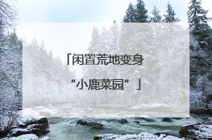 闲置荒地变身“小鹿菜园”