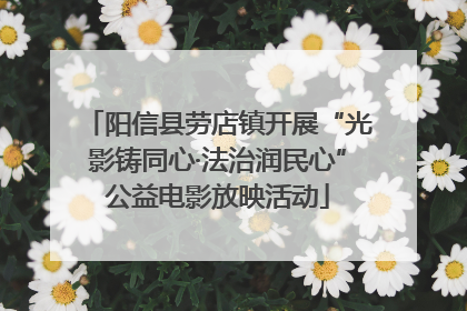 阳信县劳店镇开展“光影铸同心·法治润民心”公益电影放映活动