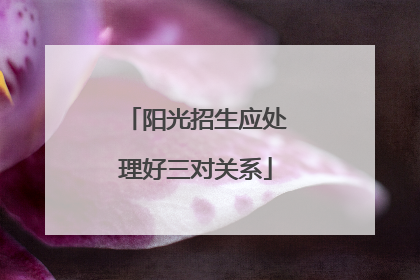 阳光招生应处理好三对关系