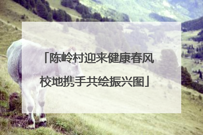 陈岭村迎来健康春风 校地携手共绘振兴图