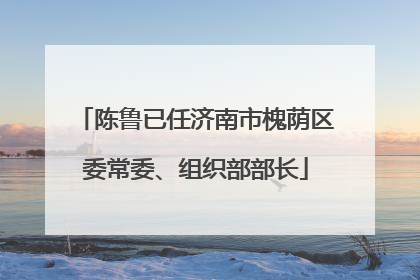 陈鲁已任济南市槐荫区委常委、组织部部长