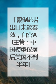 限制芯片出口未能奏效，白宫AI主管：中国模型仅落后美国不到半年