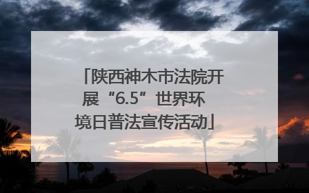 陕西神木市法院开展“6.5”世界环境日普法宣传活动