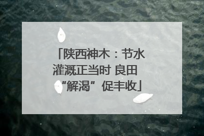 陕西神木：节水灌溉正当时 良田“解渴”促丰收