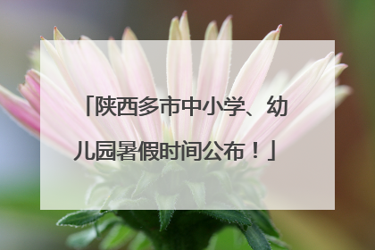 陕西多市中小学、幼儿园暑假时间公布！