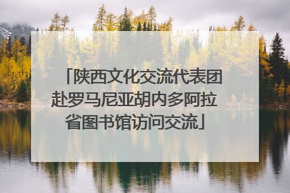 陕西文化交流代表团赴罗马尼亚胡内多阿拉省图书馆访问交流