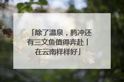 除了温泉，腾冲还有三文鱼值得奔赴丨在云南样样好