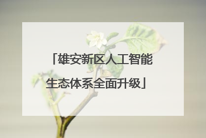 雄安新区人工智能生态体系全面升级