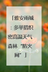 雅安雨城：多举措织密高温天气森林“防火网”