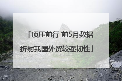顶压前行 前5月数据折射我国外贸较强韧性