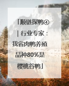 顺链探鸭④｜行业专家：我省肉鸭养殖品种80%是樱桃谷鸭