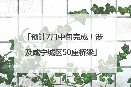 预计7月中旬完成！涉及咸宁城区50座桥梁