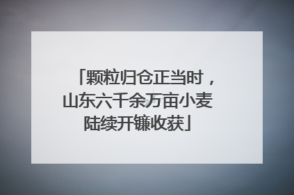 颗粒归仓正当时，山东六千余万亩小麦陆续开镰收获