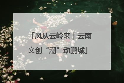 风从云岭来｜云南文创“潮”动鹏城