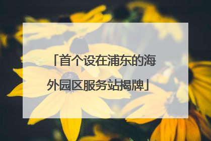 首个设在浦东的海外园区服务站揭牌