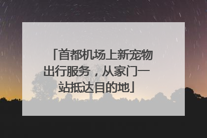 首都机场上新宠物出行服务，从家门一站抵达目的地