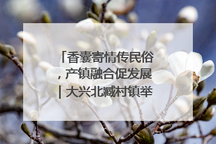 香囊寄情传民俗，产镇融合促发展｜大兴北臧村镇举办端午主题活动