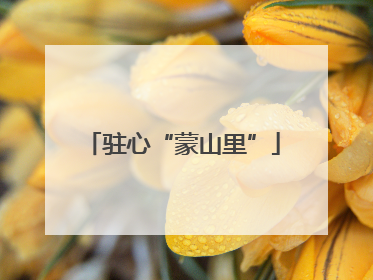 驻心“蒙山里”