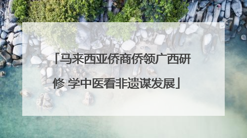 马来西亚侨商侨领广西研修 学中医看非遗谋发展