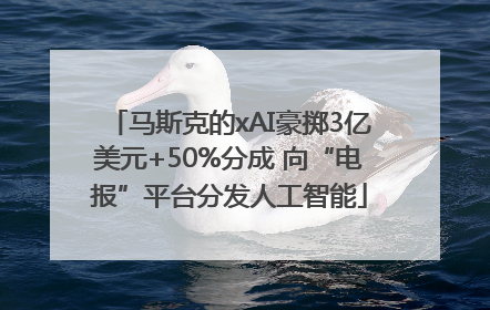 马斯克的xAI豪掷3亿美元+50%分成 向“电报”平台分发人工智能