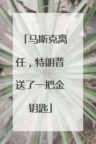 马斯克离任，特朗普送了一把金钥匙