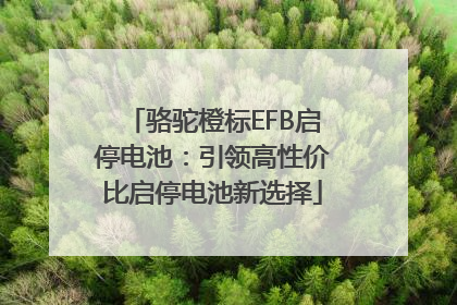 骆驼橙标EFB启停电池：引领高性价比启停电池新选择