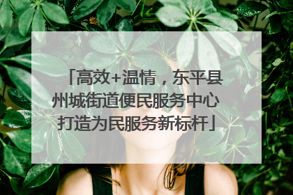 高效+温情，东平县州城街道便民服务中心打造为民服务新标杆