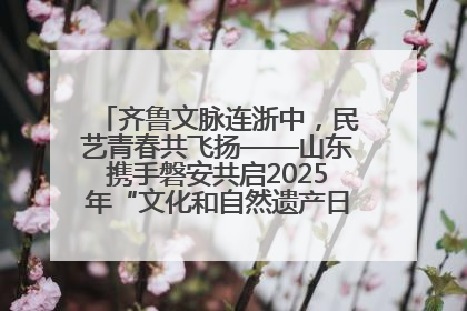 齐鲁文脉连浙中，民艺青春共飞扬——山东携手磐安共启2025年“文化和自然遗产日”系列活动