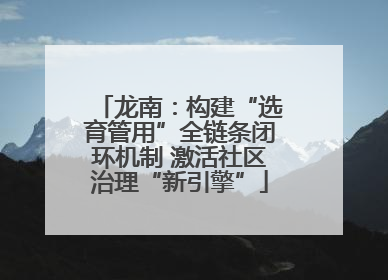 龙南：构建“选育管用”全链条闭环机制 激活社区治理“新引擎”