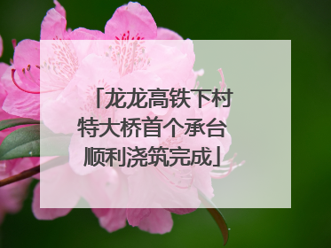 龙龙高铁下村特大桥首个承台顺利浇筑完成