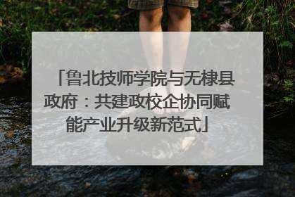 鲁北技师学院与无棣县政府：共建政校企协同赋能产业升级新范式