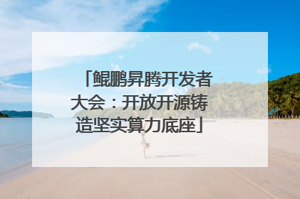 鲲鹏昇腾开发者大会：开放开源铸造坚实算力底座