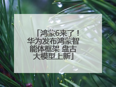 鸿蒙6来了！华为发布鸿蒙智能体框架 盘古大模型上新