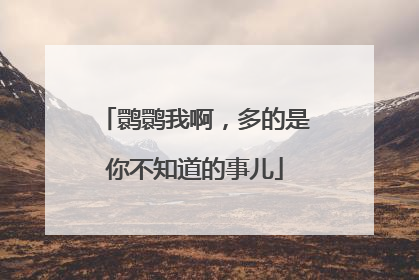 鹮鹮我啊，多的是你不知道的事儿