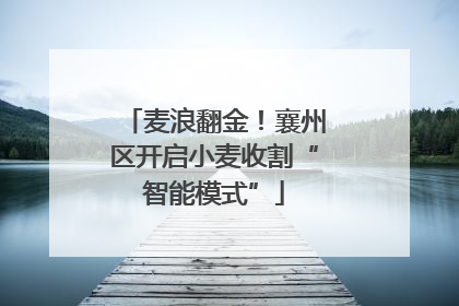 麦浪翻金！襄州区开启小麦收割“智能模式”