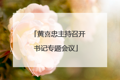 黄喜忠主持召开书记专题会议