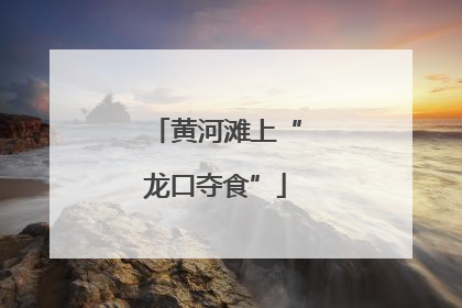 黄河滩上“龙口夺食”