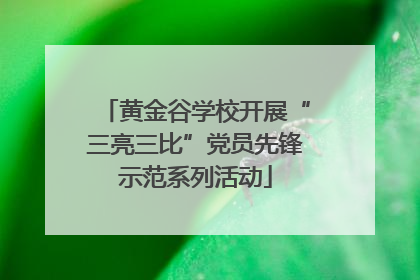 黄金谷学校开展“三亮三比”党员先锋示范系列活动