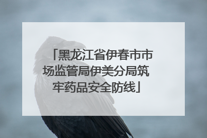 黑龙江省伊春市市场监管局伊美分局筑牢药品安全防线